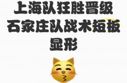 LOL决赛-战术调整灵活，球队灵巧应对敌方变化的简单介绍