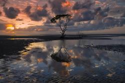 英雄联盟总决赛直播-智控绿茵，孔德运筹帷幄，巴拉圭战术窒息葡萄牙