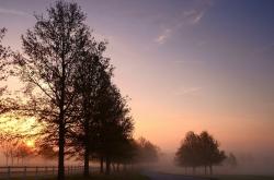 英雄联盟总决赛门票-班凯罗高光背后，掘金防守哲学如何锁死浙江队