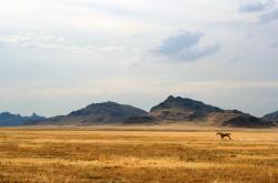 -生死局的艺术，葡萄牙如何以节奏为笔，在西决赛场上绘制胜利