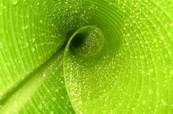 -当库里身披雷霆战袍，一场跨越现实的京雷之战