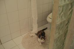 LOL赛事-千钧一发！福克斯神之一手改写剧本，辽宁惊险擒龙