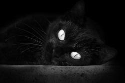 LOL赛事-单日双赛，当阿根廷掀翻几内亚遇上凯恩接管F1冠军战