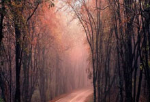 湖人意甲爆冷负东契奇领衔劲旅！积分震荡暗藏体坛新变局