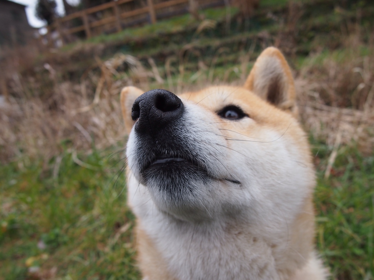 新王加冕夜，从伊蒂哈德到伯纳乌，00后用绝杀与奔袭定义时代