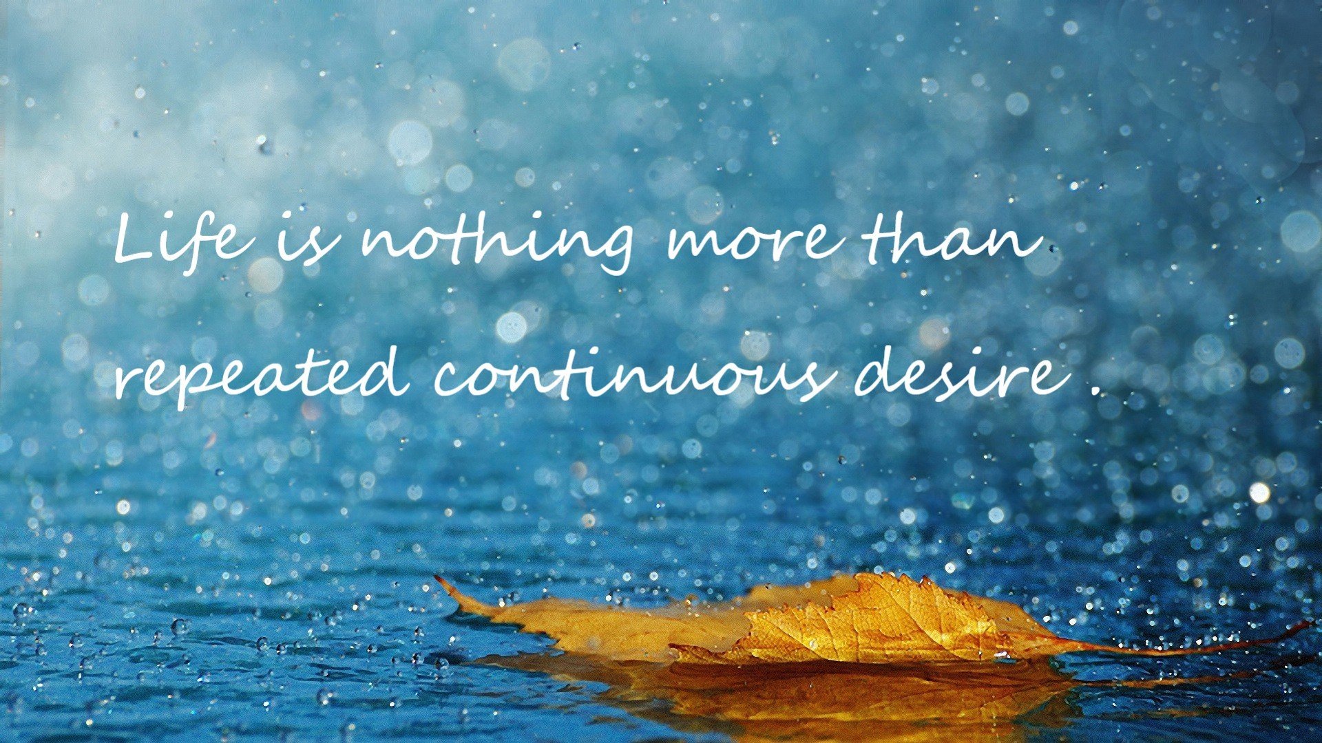 一战定义新传奇，坎特统治级表现，亚特兰大决胜局带走喀麦隆的非凡启示