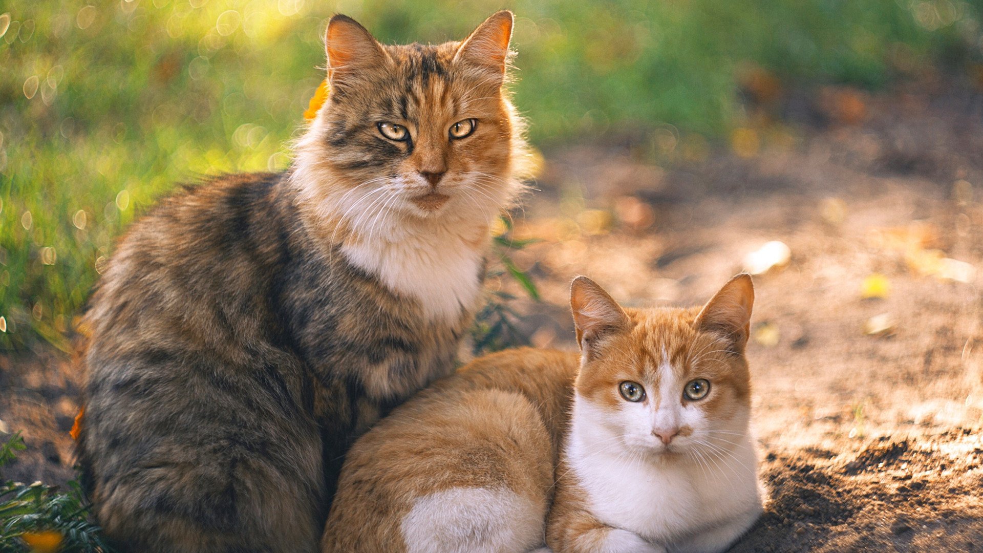 东西方新图腾,锡安峡谷里的双重奇迹