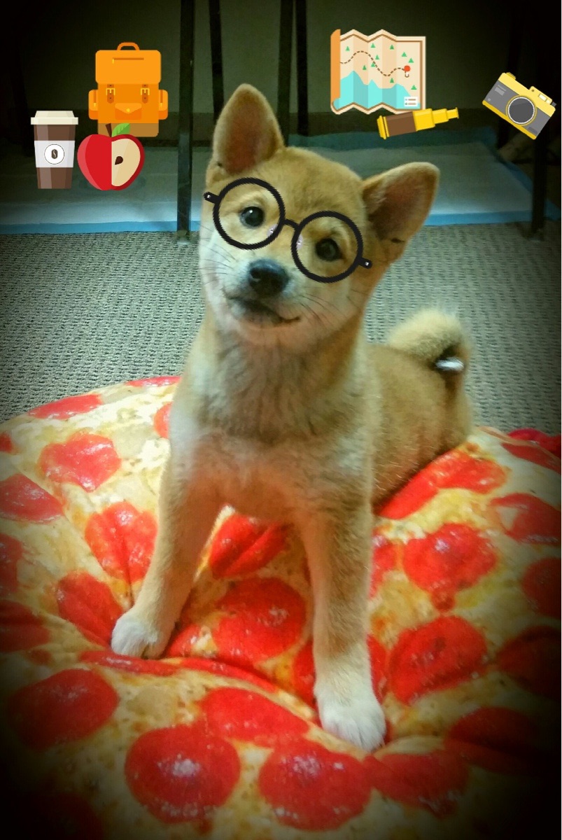 唯一!加时决胜时刻,詹姆斯让太阳熄灭在新疆主场