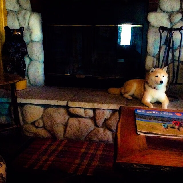 奥运烽火线,一个人的战争,老鹰决胜局叼走吉林队