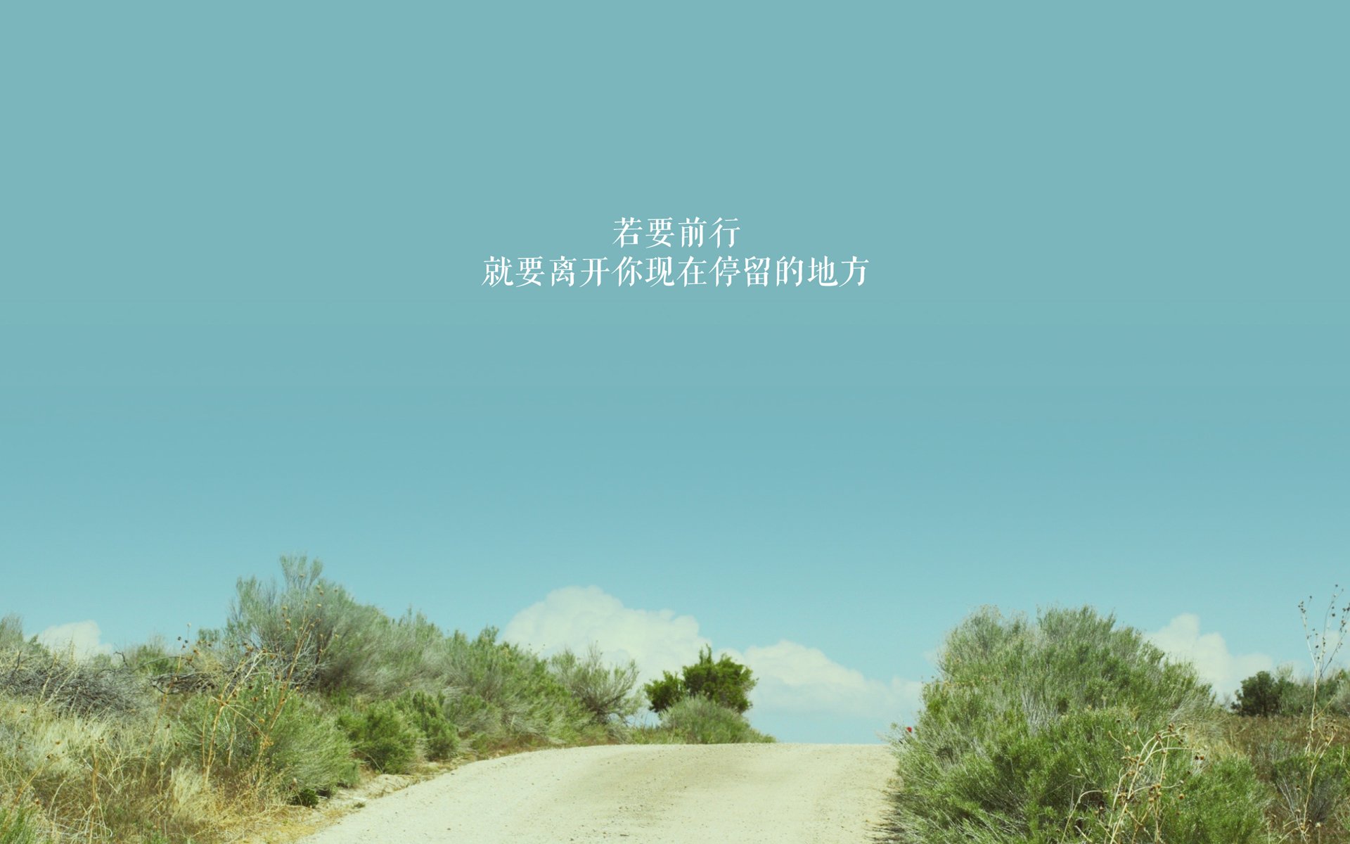 鹰击长空,蜂群溃散,德甲争冠战焦点战中法兰克福主场碾压多特蒙德