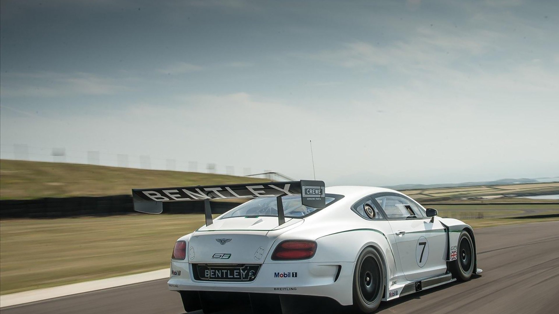 一人战场,霍勒迪的世界杯之夜