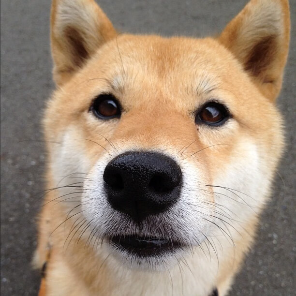乌拉圭对阵挪威，门迪，绿茵场上的隐形节拍器