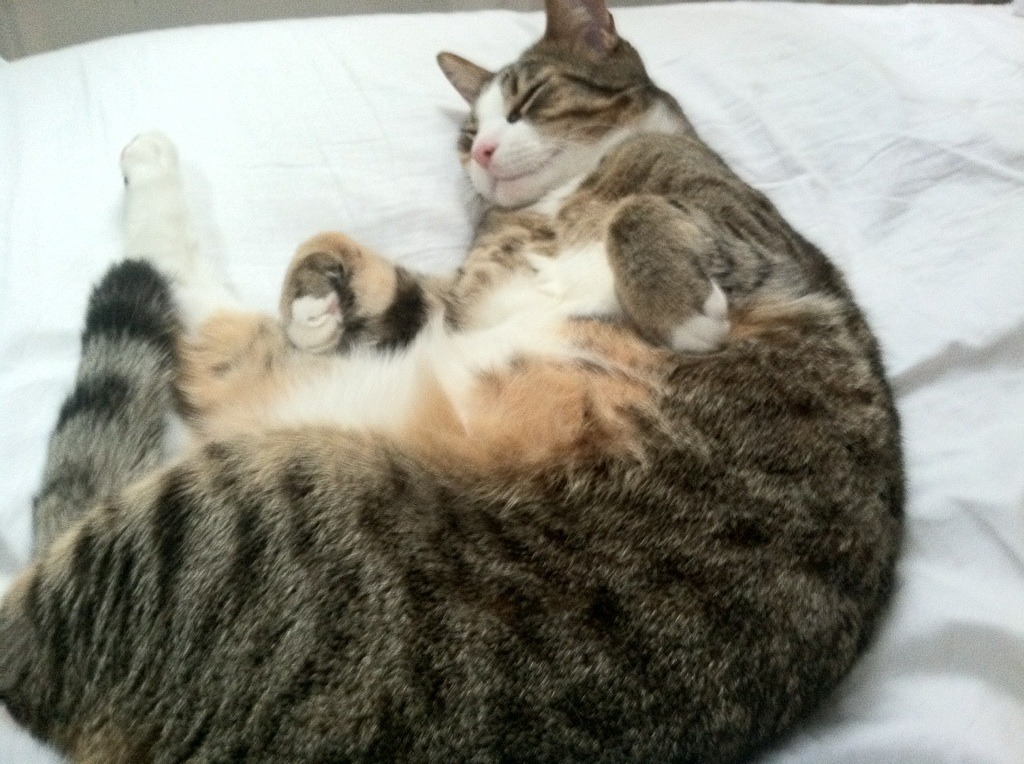 利刃破锁链，李刚仁个人秀刺穿伊拉克混凝土防线，多特蒙德陷战术困局