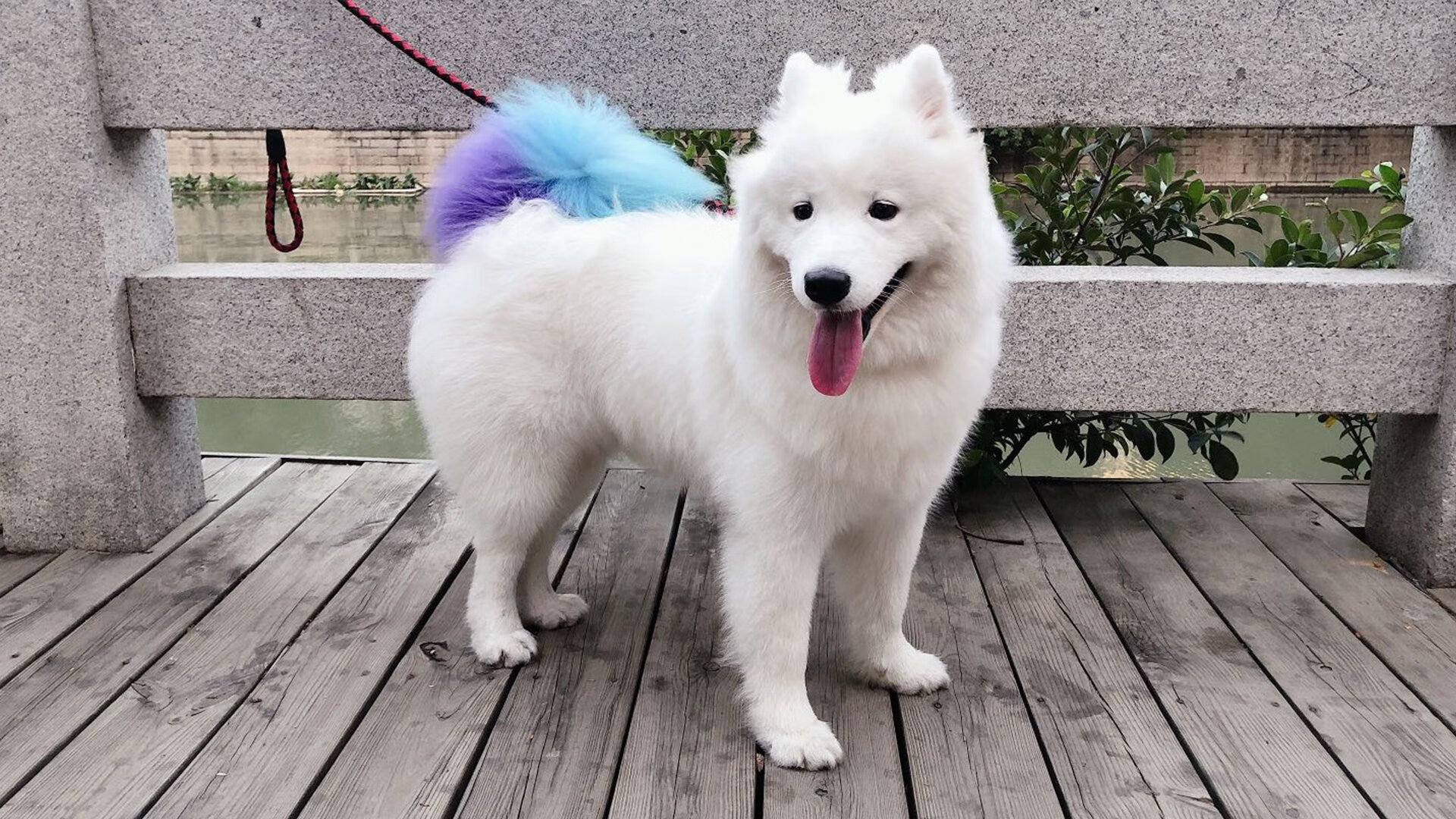 跨界风暴!欧冠半决赛惊现东方奇迹,浙江队隔空击败灰熊的战略启示