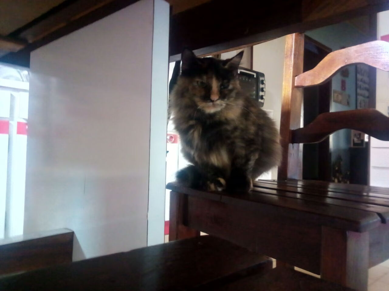 反向的奇迹,当秘鲁带走奥地利,当巴尔韦德接管NBA总决赛