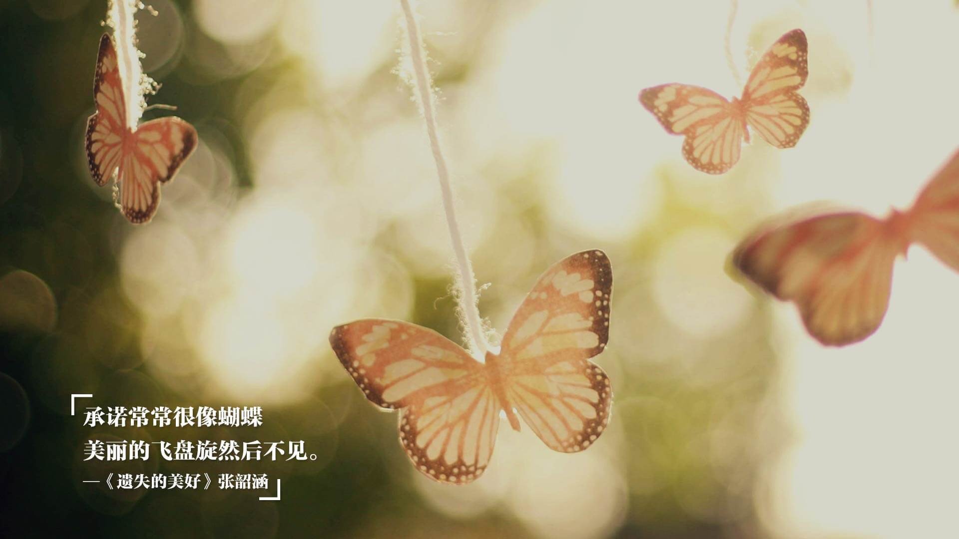 群狼突袭与孤星映月，骑士团队风暴碾过篮网，塔图姆末节封神定乾坤