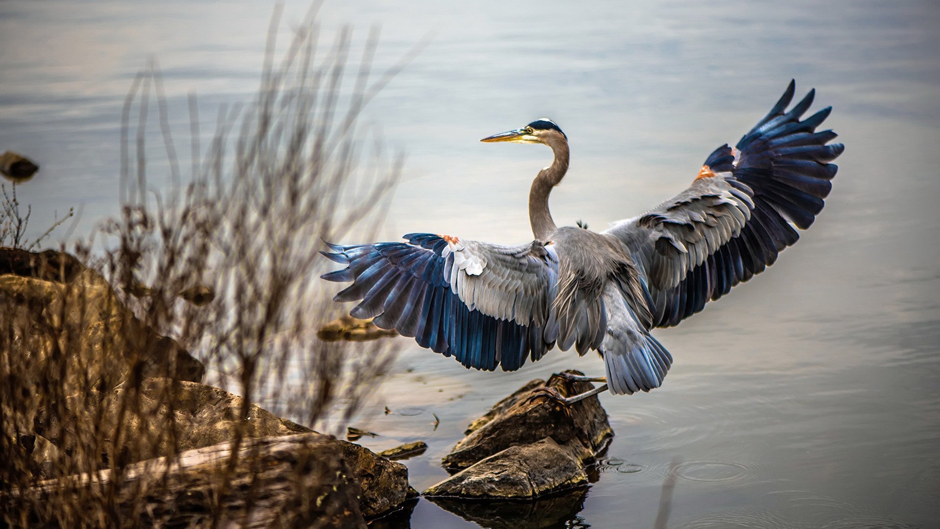 雷霆万钧，终场绝杀！英格拉姆掌控节奏导演逆转剧本