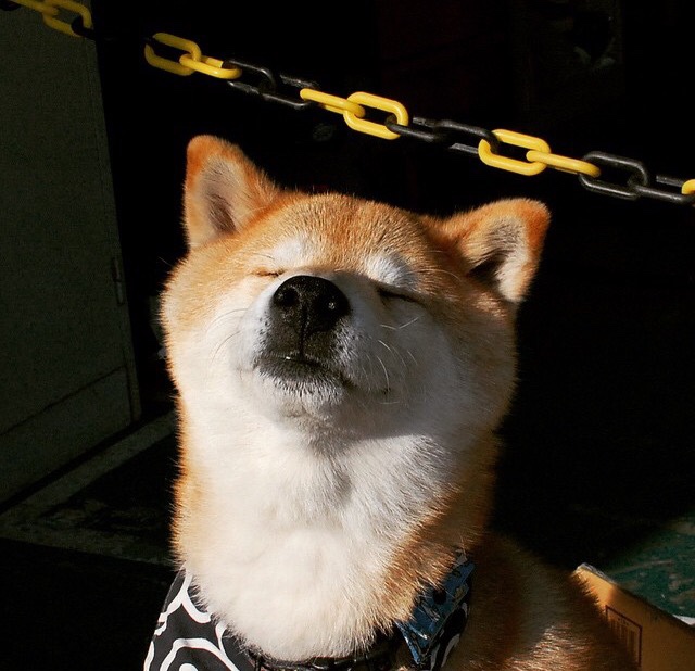 老猎人的主场，德罗赞与魔术新生代的对决启示