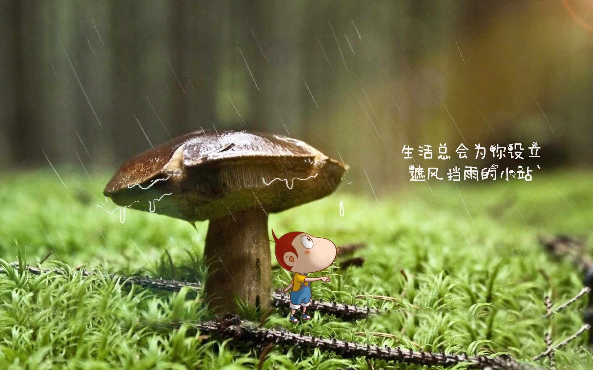 双雄的黄昏与黎明，2026世界杯G组，西班牙的浪潮吞没波兰，吉鲁用倒影剪裁永恒